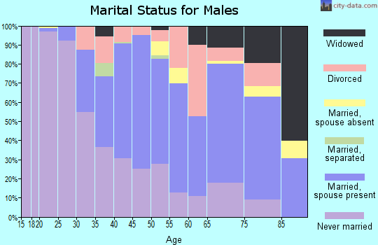 Zip code 17976 marital status for males