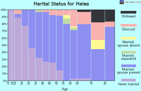 Zip code 17980 marital status for males