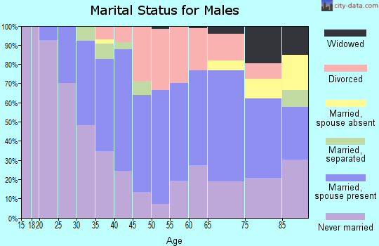 Zip code 17981 marital status for males