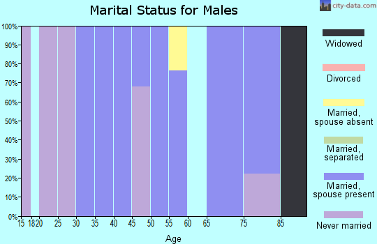Zip code 17982 marital status for males