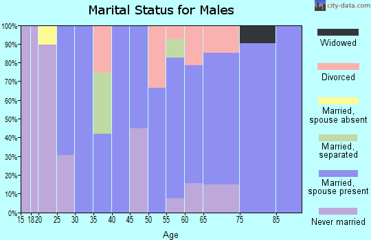Zip code 17983 marital status for males