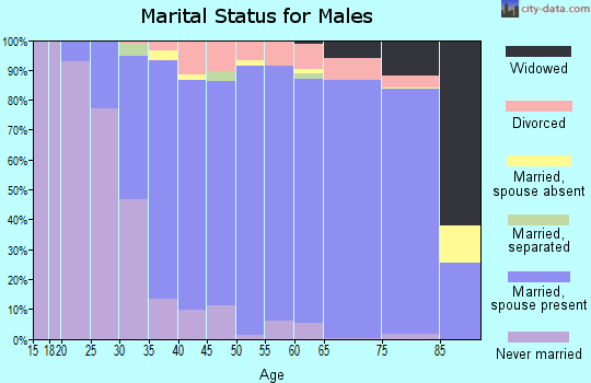 Zip code 18020 marital status for males