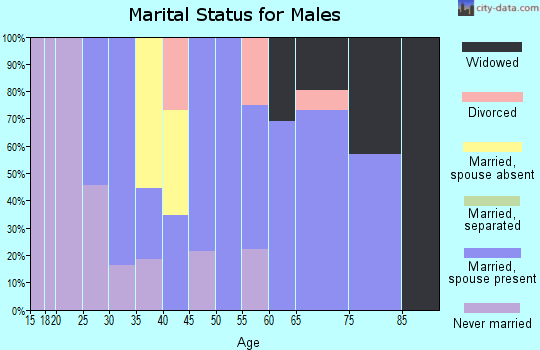 Zip code 18030 marital status for males