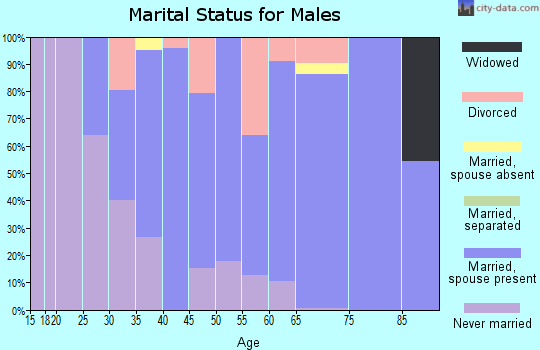 Zip code 18031 marital status for males