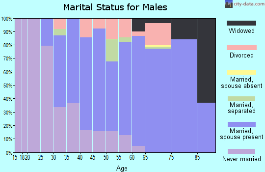Zip code 18032 marital status for males