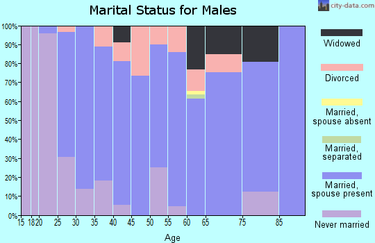 Zip code 18041 marital status for males