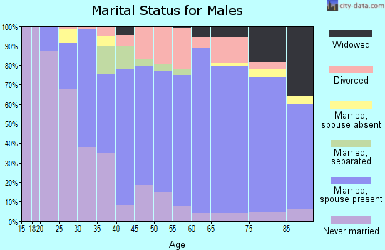 Zip code 18052 marital status for males