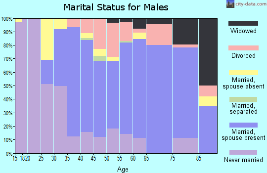 Zip code 18055 marital status for males