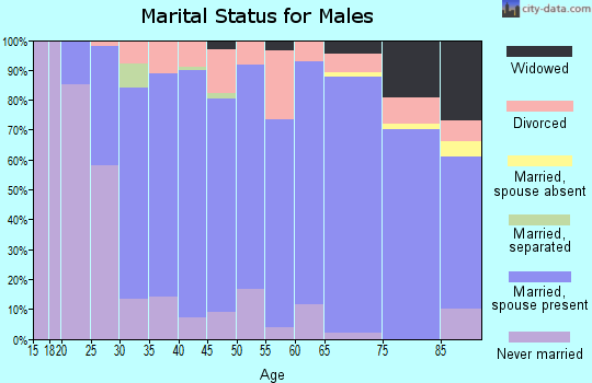 Zip code 18062 marital status for males