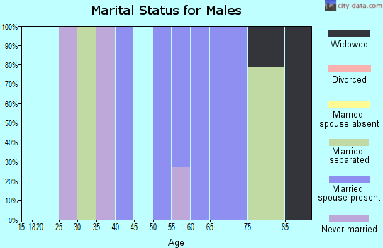 Zip code 18063 marital status for males