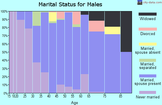 Zip code 18069 marital status for males