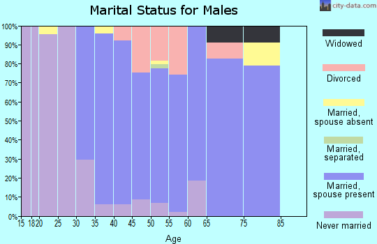 Zip code 18074 marital status for males