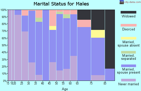 Zip code 18076 marital status for males