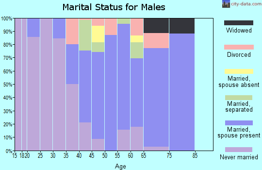 Zip code 18077 marital status for males