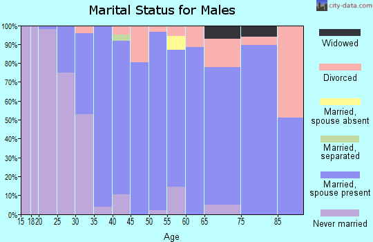 Zip code 18078 marital status for males