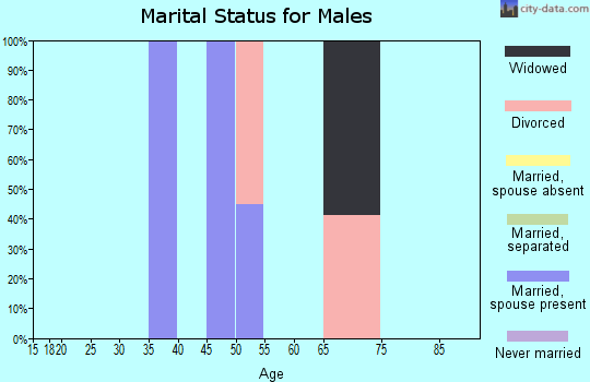 Zip code 18079 marital status for males