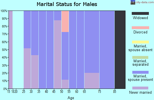 Zip code 18083 marital status for males