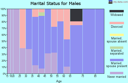 Zip code 18085 marital status for males