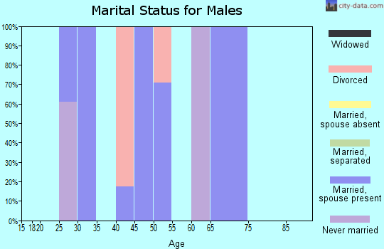 Zip code 18087 marital status for males