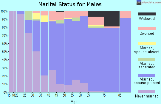 Zip code 18088 marital status for males