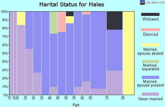 Zip code 18092 marital status for males