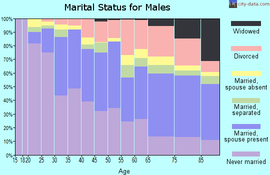 Zip code 18102 marital status for males