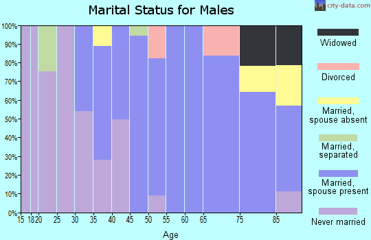 Zip code 18106 marital status