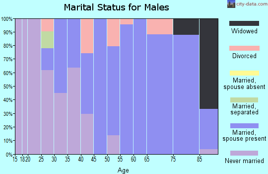 Zip code 18219 marital status for males