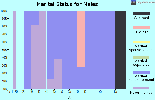 Zip code 18220 marital status for males