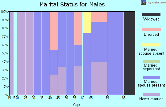 Zip code 18231 marital status for males