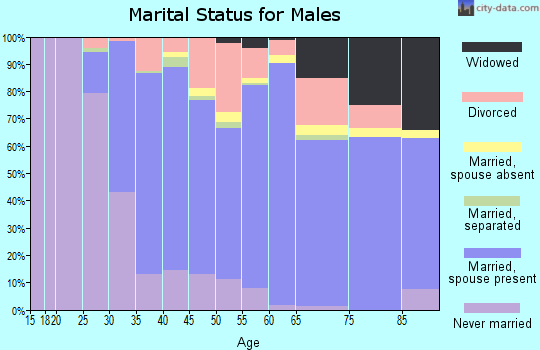 Zip code 18235 marital status for males