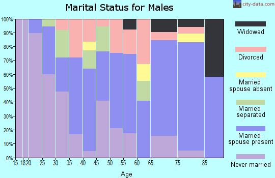 Zip code 18237 marital status for males