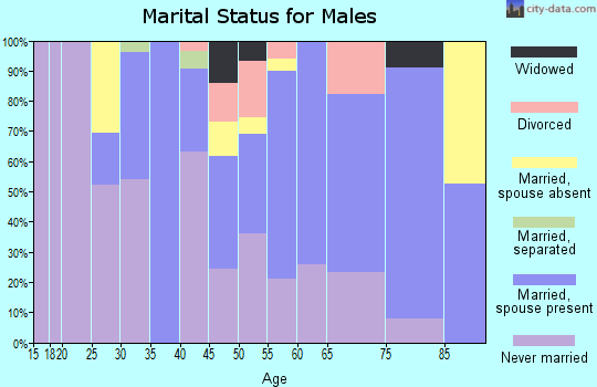 Zip code 18240 marital status for males