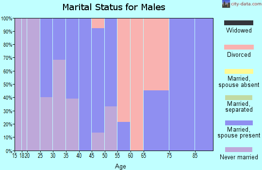 Zip code 18241 marital status for males