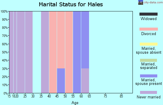 Zip code 18242 marital status for males