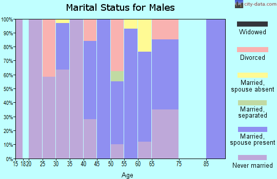 Zip code 18248 marital status for males