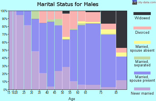 Zip code 18252 marital status for males