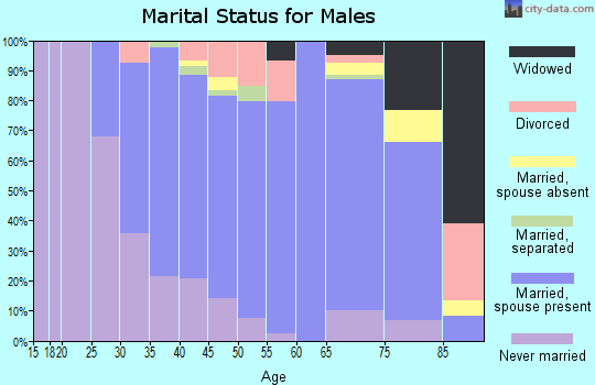 Zip code 18255 marital status for males