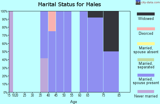 Zip code 18256 marital status for males