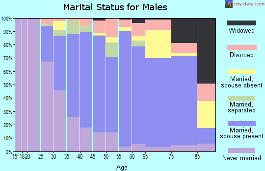 Zip code 18301 marital status for males