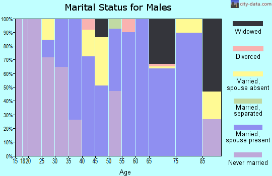 Zip code 18322 marital status for males