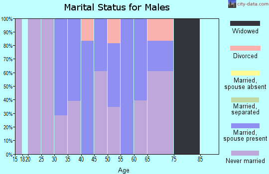 Zip code 18327 marital status for males