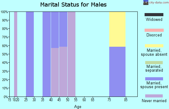 Zip code 18333 marital status for males