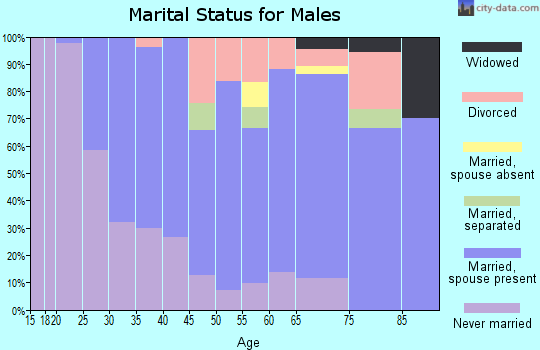 Zip code 18336 marital status for males