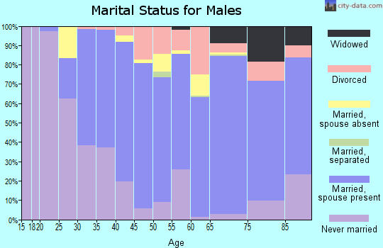 Zip code 18337 marital status for males