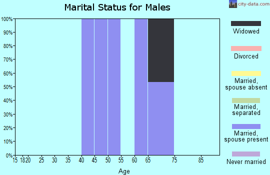 Zip code 18340 marital status for males