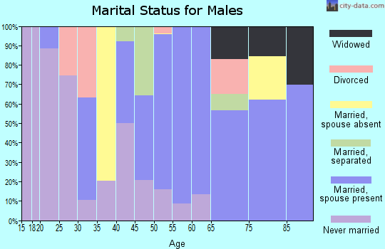 Zip code 18343 marital status for males