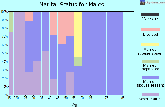 Zip code 18344 marital status for males