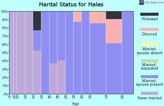 Zip code 18346 marital status for males