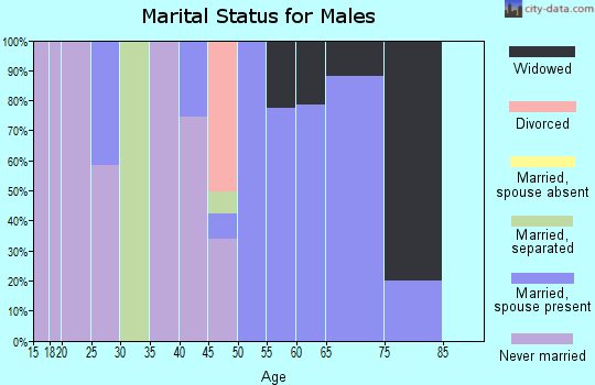 Zip code 18347 marital status for males